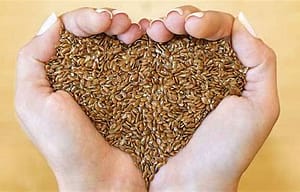 Image result for fight cancer flaxseed